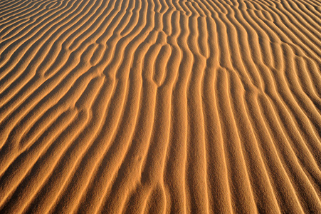 沙丘 非洲沙漠 特写