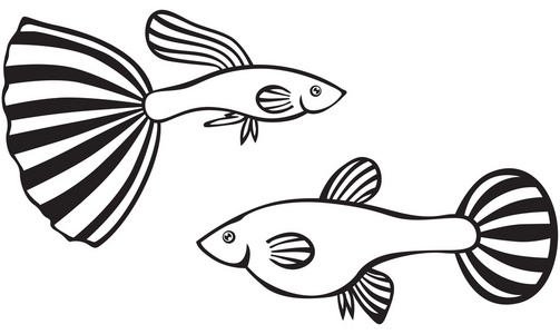 黑发女孩,穿着一套蓝色的电线,熊鸟翅膀和五颜六色的羽毛头盔伊卡洛斯