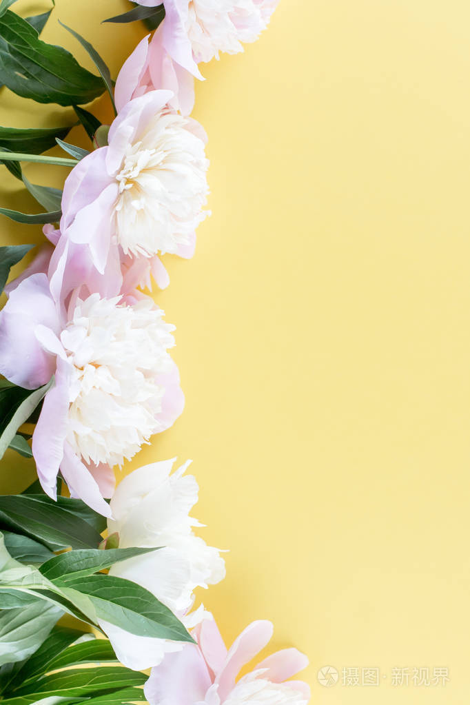 粉红色的牡丹花花束在黄色背景上.最小花 flatlay 概念