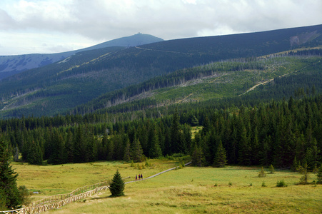 karkonosze 山中林间空地