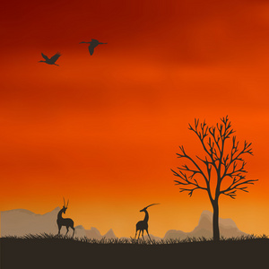 羚羊在夕阳下的背景