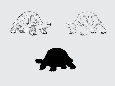 灰色的乌龟图片