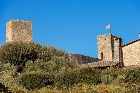 强化的蒙特镇 锡耶纳 托斯卡纳 Tuscany 意大利 欧洲的古代中世纪村落的细节