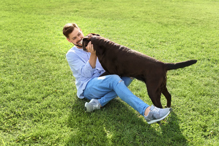 可爱的棕色拉布拉多猎犬与业主户外