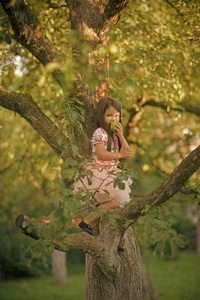快乐的孩子玩得开心。苹果树上有水果的孩子, 维他命