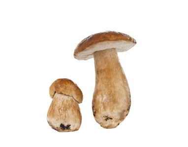 cep 隔离