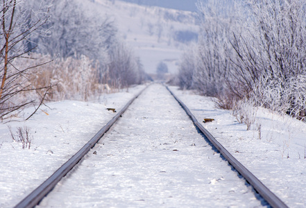 铁路轨道在冬季