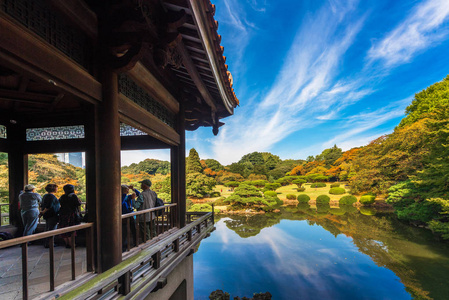 日本东京2017年10月31日 俯瞰湖面的露台景观。复制文本空间