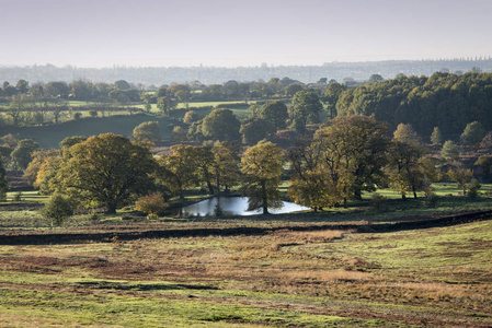 英国郊野公园的秋日清晨图片