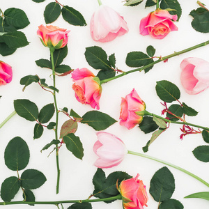 柔和的粉红色玫瑰和花瓣在白色背景。平躺, 顶部视图。粉红色花朵图案