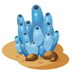 藻类植物卡通图片