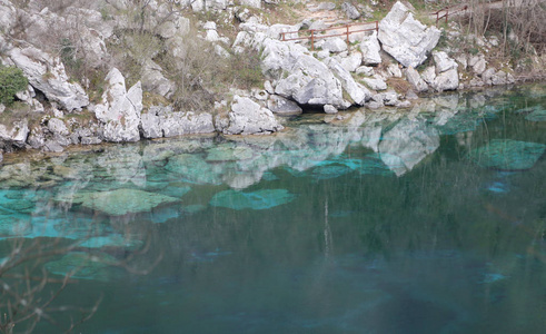 阿尔卑斯山湖的蓝色和透明的表面叫 Cornino 湖