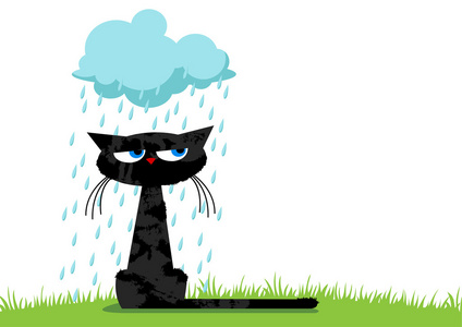 有趣的不快乐猫和多雨云