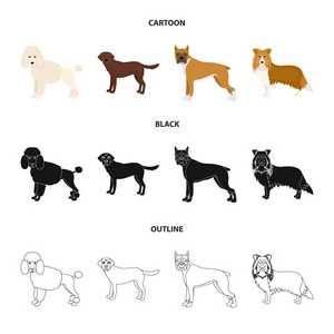 狗品种卡通, 黑色, 轮廓图标在集合中设计。狗宠物矢量符号股票 web 插图
