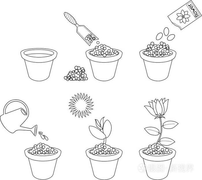 着色页.有关如何在六简单的步骤种植花卉的说明.逐步