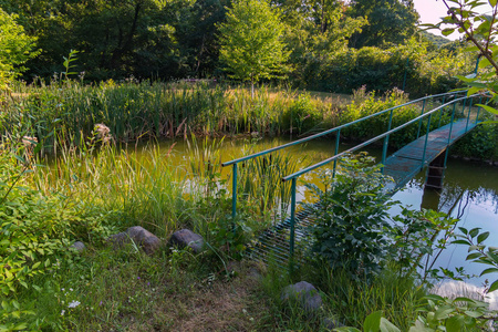 一个风景如画的小池塘, 上面有石头, 还有生长在岸边的草, 还有一座小铁桥, 可以越过它。