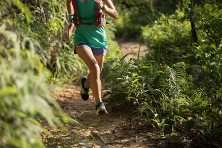 确定的女子小径赛跑者在晨林中奔跑