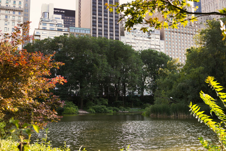 池塘，中央公园，纽约