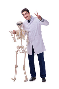 年轻的医生与骨骼隔离白色