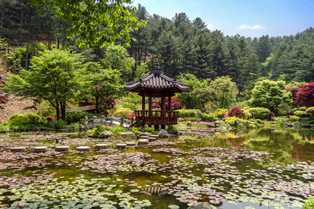 传统韩国馆水百合叶池塘
