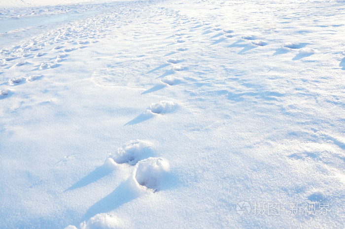 雪地上的脚印