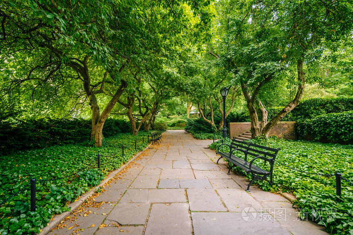 在纽约曼哈顿中心公园的温室花园里绿树成荫的人行道