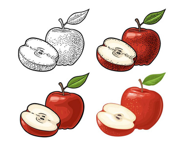 苹果整体和一半与叶子.老式彩色雕刻和平面插图的海报, 网站.