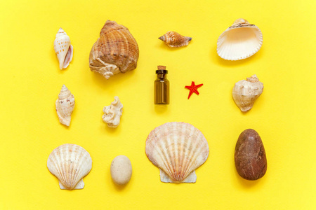 热带背景。贝壳和玻璃瓶上黄色多彩时尚的现代时尚背景。假期旅游夏日周末海冒险旅行概念