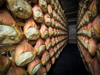 在地窖里的酒瓶图片