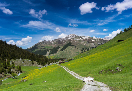 在夏日克洛斯特斯附近的一座华丽的山景中, 一大块雪挡住了碎石路。