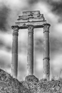 在寺的蓖麻  宝隆在罗马，意大利罗马广场废墟