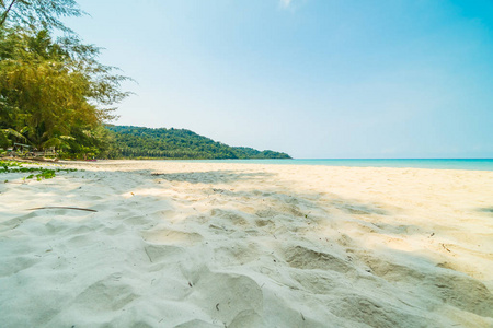 美丽的热带海滩和海与椰子棕榈树在天堂海岛为旅行和假期