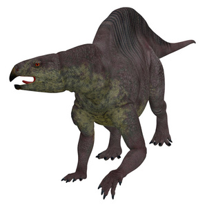 Lotosaurus 恐龙白色