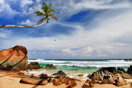 在斯里兰卡海岸废弃野生海滩