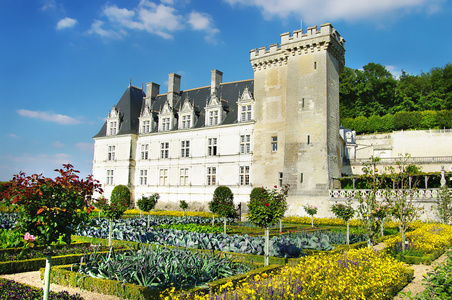 villandry 城堡卢瓦尔河谷