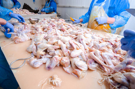 生产鸡肉佳肴的生产线.烟熏精致厂照片