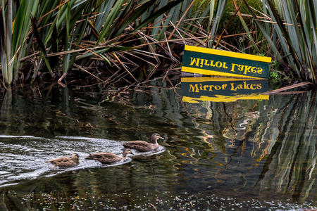 镜湖, 著名的吸引力在米尔福德声, 峡湾国家公园, 新西兰