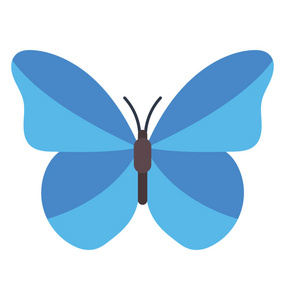 用图形蓝色形态蝴蝶图标描绘的园林昆虫照片