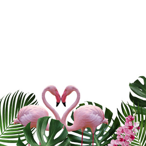 红鹤与粉红兰花的夏季概念设计白色背景下的热带叶子