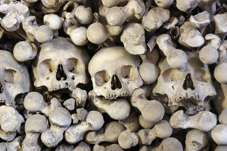 胸部,在黑色背景上的雕塑一个人的头骨的照片向左看,左边的光