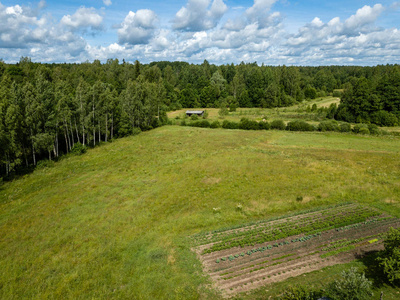 无人机图像。农村地区的田野和森林在多云的春日的鸟瞰图。拉托维亚