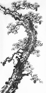 中国风格的光背景下的松树