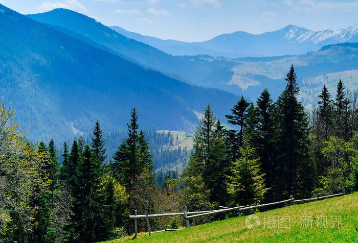 高山, 蓝天和森林的背景, 旅行的概念在野生动物, 拷贝空间