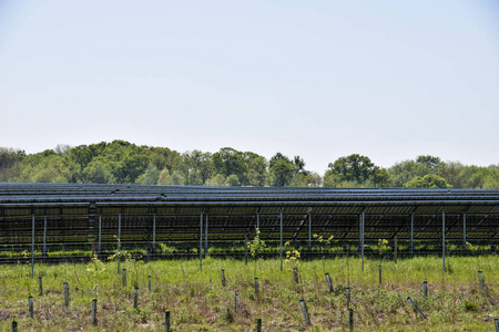 太阳能发电场太阳能电池板后面的景色