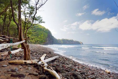 美国夏威夷大岛 Pololu 山谷岩石海滩景观景观