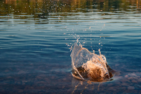黄昏的波喷雾从石头上溅出的水掉进河里.