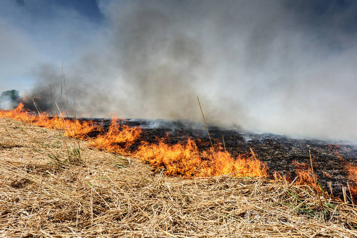 焚烧农田, 烟雾污染.全球形象及其自然灾害风险