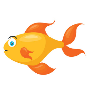 一个可爱的橙色黄色中型鱼通常保存在水族馆和小池塘, 金鱼照片