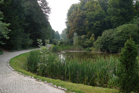 奇特的步行胡同, 导致一个美丽的装饰湖的背景下的绿色树木
