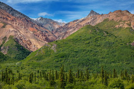 阿拉斯加在夏天山明水秀山。雪覆盖地块 冰川和岩石山峰